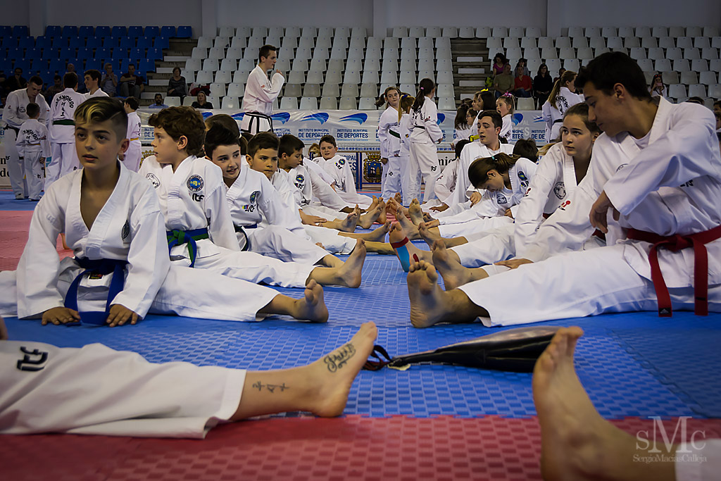 DIA DEL TAEKWONDO ABRIL 2017_3708.JPG